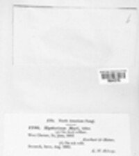 Hysterobrevium mori image